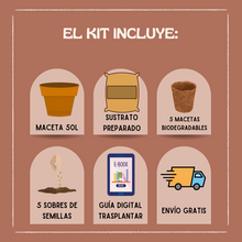 Cargar imagen en el visor de la galería, 🪴NUEVO KIT PARA ÁRBOLES FRUTALES 🪴