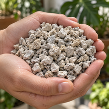Cargar imagen en el visor de la galería, Tepojal Granulado Chico 10 L | Sustrato Mineral para Drenaje y Aireación