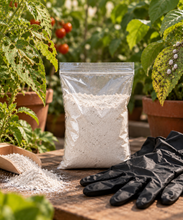 Cargar imagen en el visor de la galería, Tierra de Diatomeas 500gr | Insecticida natural + Guantes gratis