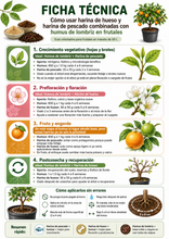 Cargar imagen en el visor de la galería, ✨ NUEVO Kit de Nutrición Orgánica para Frutales y Huerto