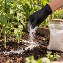 Cargar imagen en el visor de la galería, Tierra de Diatomeas 500gr | Insecticida natural + Guantes gratis