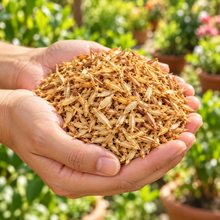 Cargar imagen en el visor de la galería, Cascarilla de Arroz 3 L | Sustrato Natural para Aireación y Drenaje