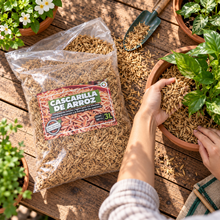 Cargar imagen en el visor de la galería, Cascarilla de Arroz 3 L | Sustrato Natural para Aireación y Drenaje