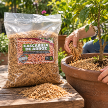 Cargar imagen en el visor de la galería, Cascarilla de Arroz 3 L | Sustrato Natural para Aireación y Drenaje