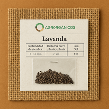 Cargar imagen en el visor de la galería, Semillas de Lavanda