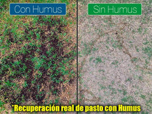 Cargar imagen en el visor de la galería, Humus de Lombriz 2 Kg.