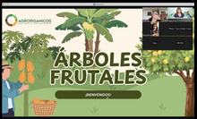 Cargar imagen en el visor de la galería, 🍋 Clase EN VIVO: Frutales en Maceta + Grabación + Guía PDF nueva (28 Julio - 8PM)