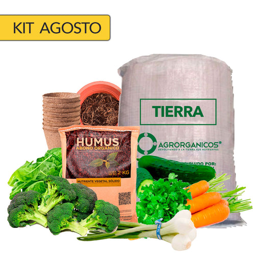 8. Kit de AGOSTO