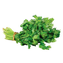 Cargar imagen en el visor de la galería, Semillas de Cilantro - Agrorganicos